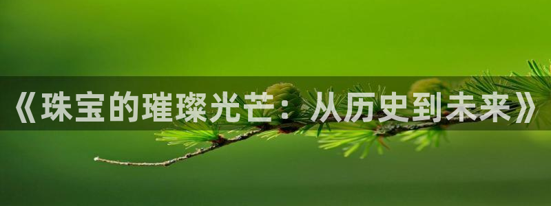 新航文化娱乐传媒招聘