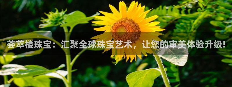 新航城娱乐传媒有限公司