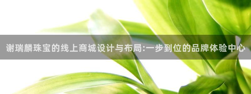 新航娱乐艺人