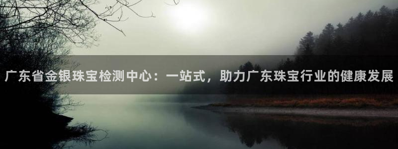 新航娱乐的创始人背景