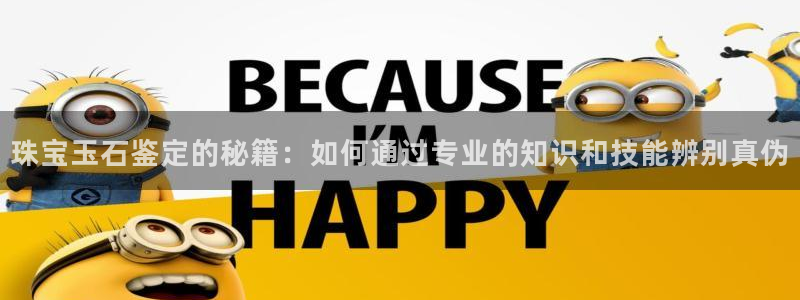 新航娱乐公司简介图片