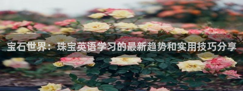 新航娱乐登陆