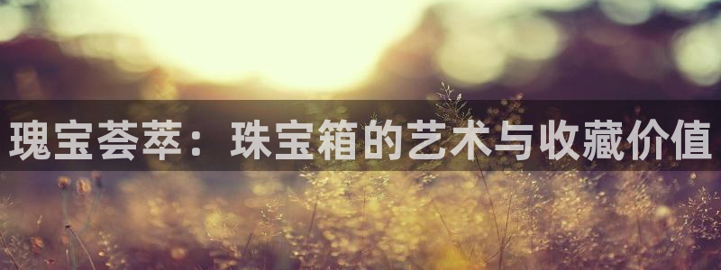 新航线娱乐