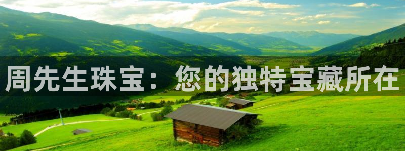 新航娱乐公司旗下艺人
