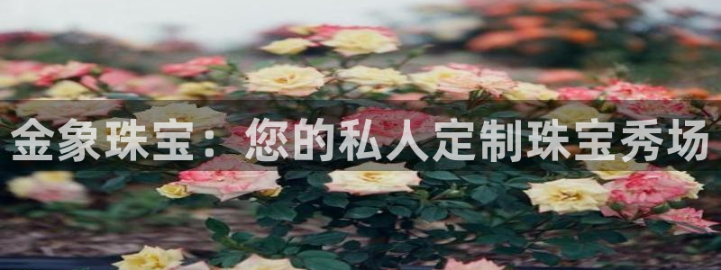新航娱乐传媒怎么样知乎