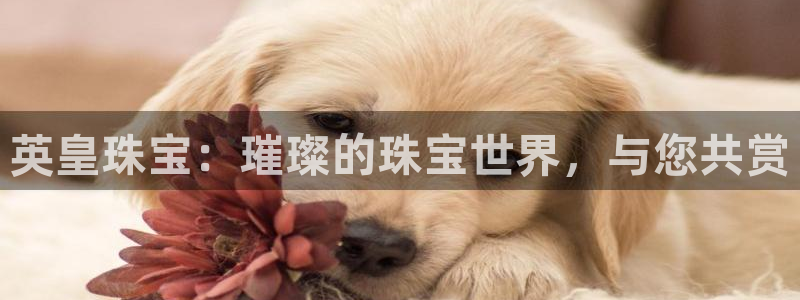 新航娱乐入新航娱乐怎么样