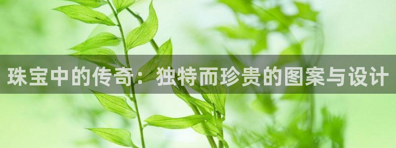 新航娱乐传媒招聘电话