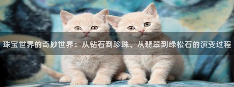 南京新航娱乐