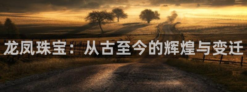 金城娱乐新航母