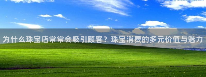 新航娱乐公司问题分析