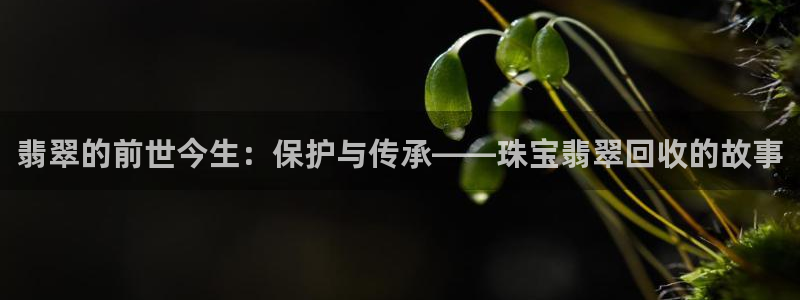 新航娱乐入新航娱乐怎么样