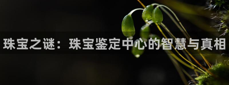 新航文化娱乐传媒怎么样