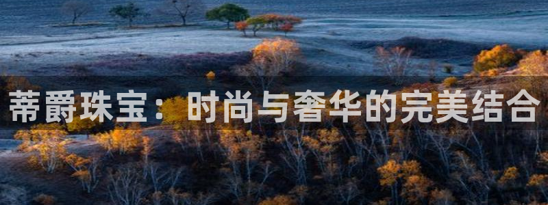 新航文化娱乐传媒