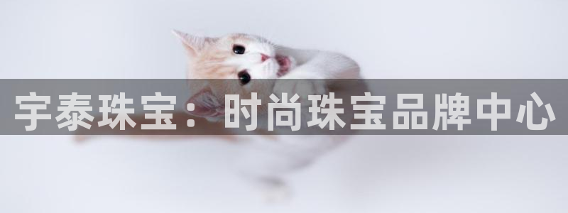 新航娱乐有限公司招聘