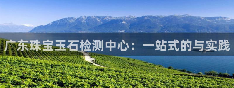 新航线辉煌娱乐会所