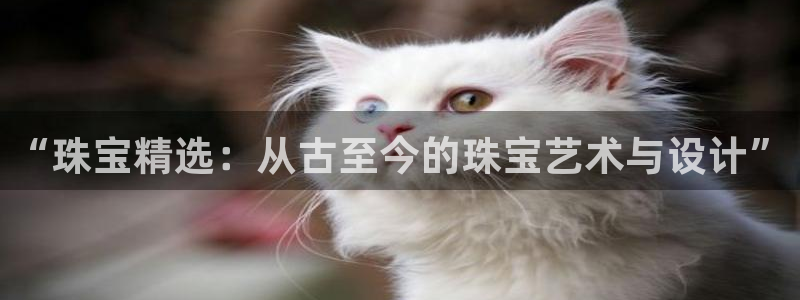 新航娱乐有限公司地址