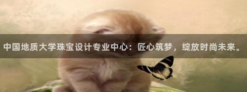 新航娱乐黑