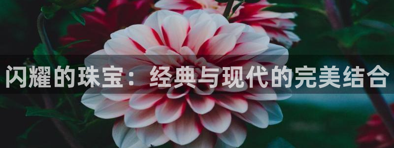 开启娱乐新航线