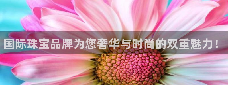 新航娱乐娱乐官方网站