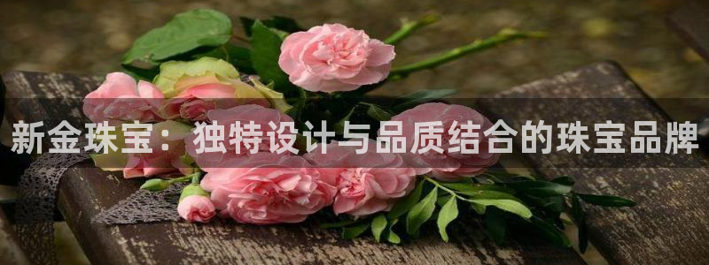 娱乐新航标