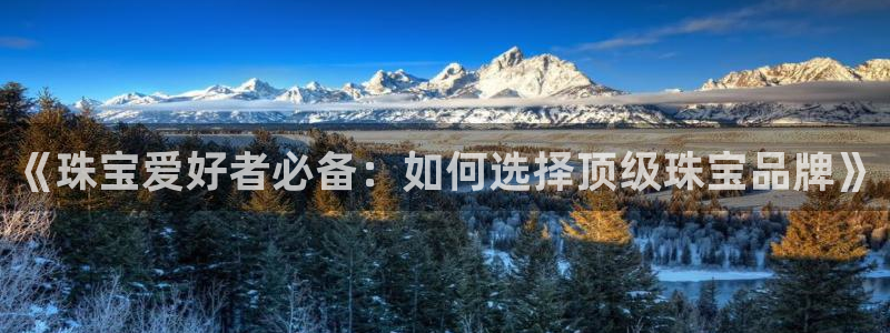 岛城娱乐新航向