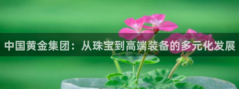 新航娱乐是正规平台吗