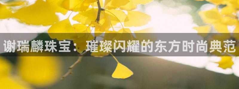新航娱乐扣款