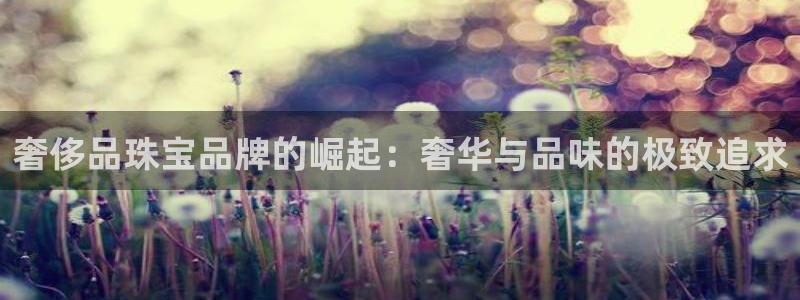 娱乐新航标
