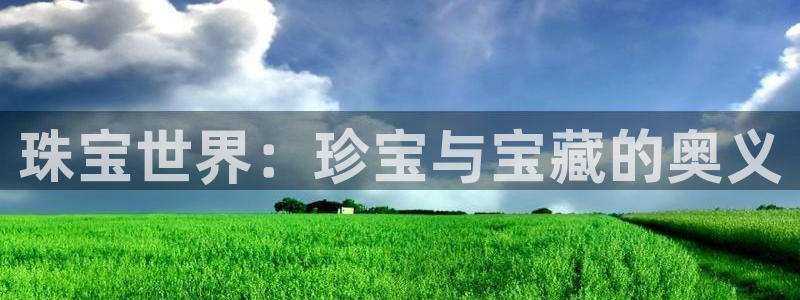 新航娱乐公司