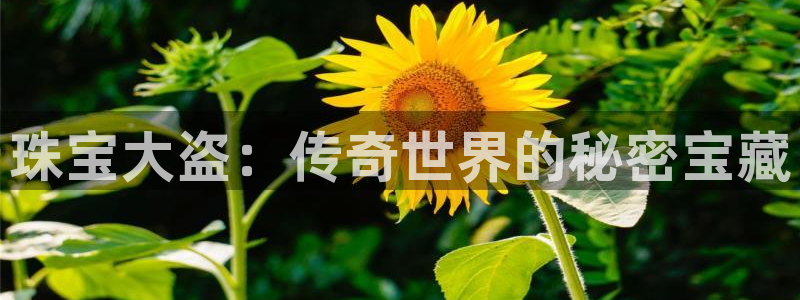 新航娱乐怎么样