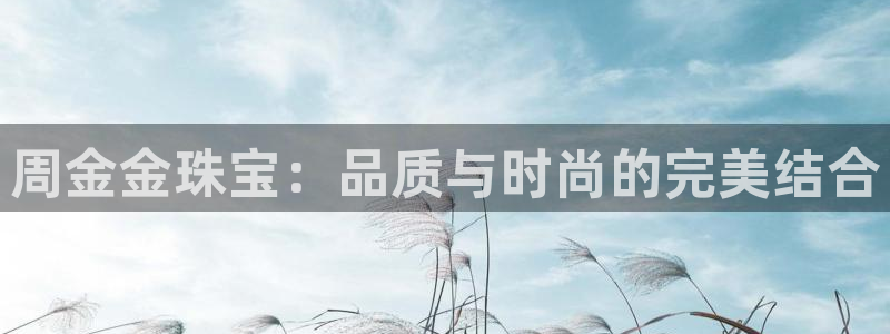 新航娱乐app下载