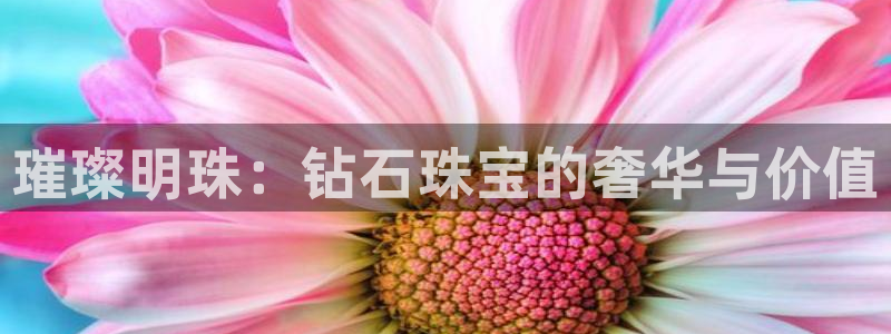 新航娱乐入网要求