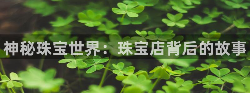 新航娱乐有限公司怎么样