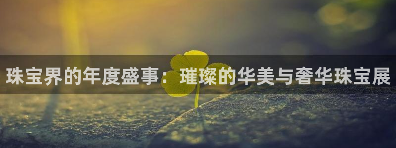 新航娱乐招商Q