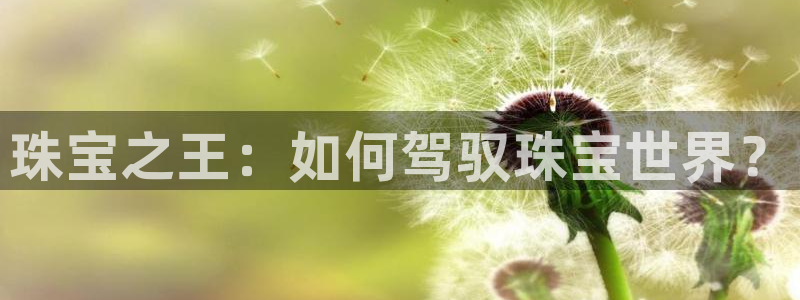 辽宁新航文化娱乐传媒