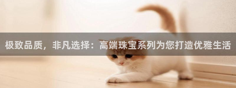 新航线辉煌娱乐会所