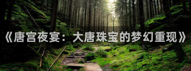 新航娱乐传媒招聘电话