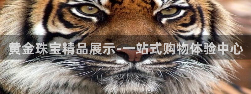成都中创新航娱乐区：黄金珠宝精品展示-一站式购物体验中心