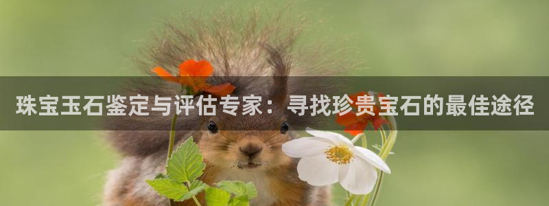 新航娱乐主管是谁