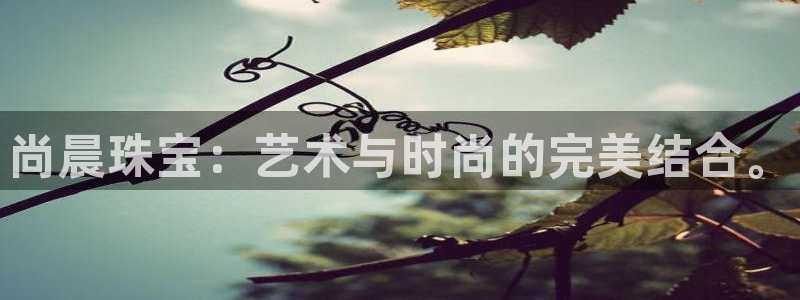 南京新航娱乐会所地址