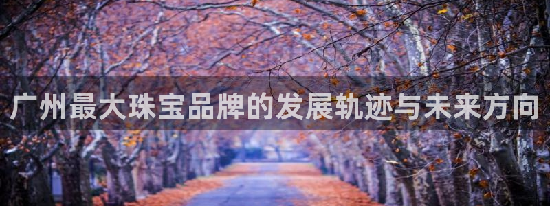 新航娱乐登陆