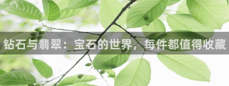新航sq806娱乐系统