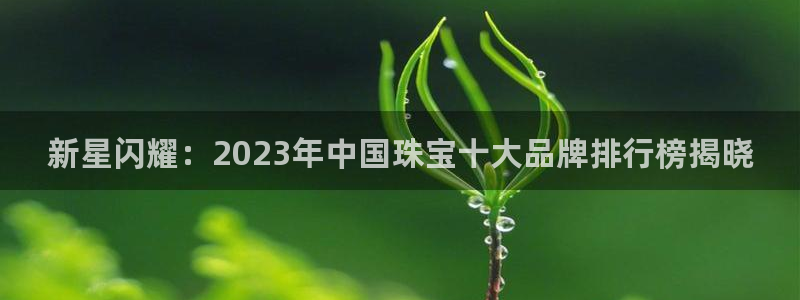新航海娱乐会所地址查询