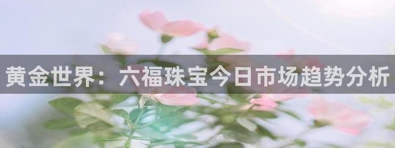 新航海娱乐会所