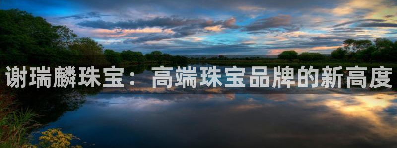 新航娱乐设施：谢瑞麟珠宝：高端珠宝品牌的新高度
