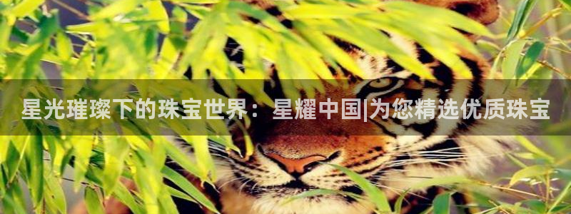新航娱乐登录注册：星光璀璨下的珠宝世界：星耀中国|为您精选优