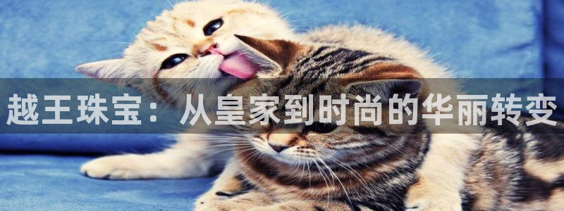 新航娱乐怎么注册账号：越王珠宝：从皇家到时尚的华丽转变