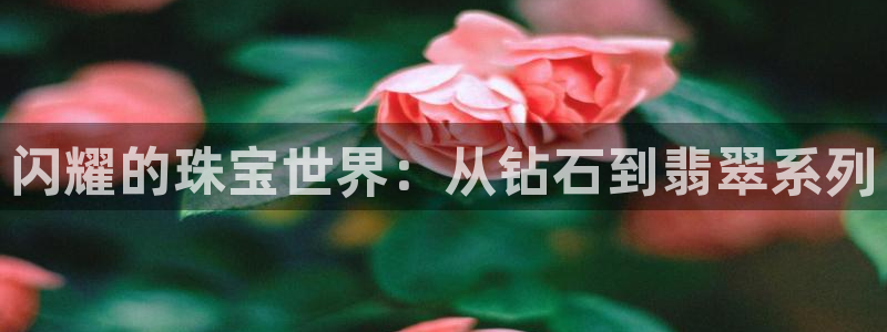 中国证券新航娱乐官网