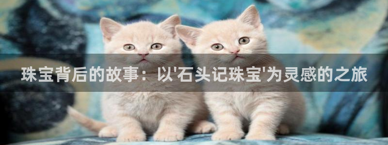 新航娱乐下载安装