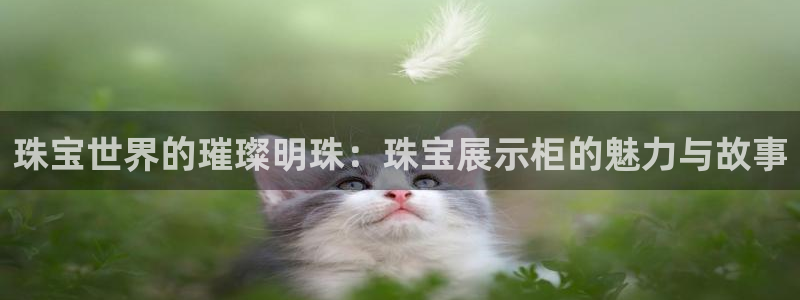 新航线娱乐会所